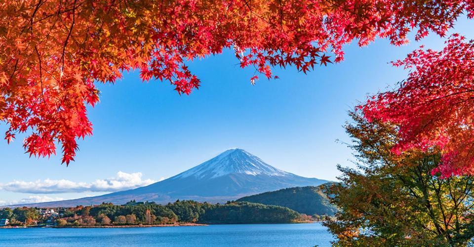 慶村 歌舞伎 公寓 富士河口湖